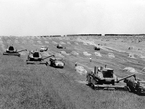 1970‑е годы. Украинская ССР. Уборка зерновых в Черниговской области